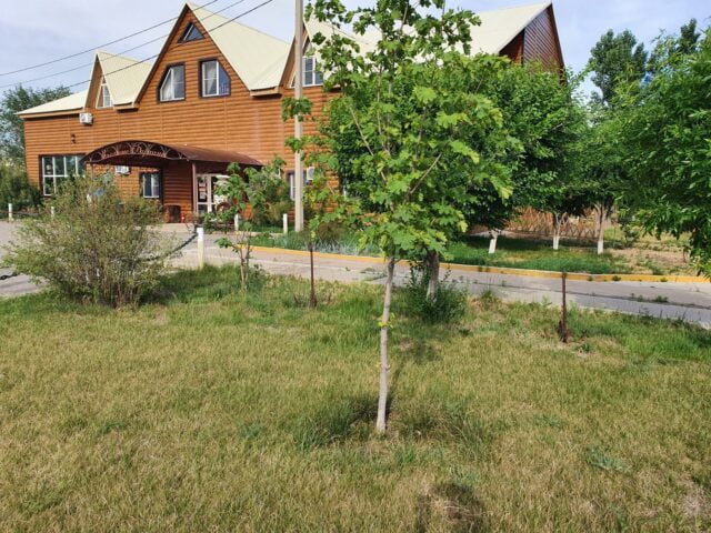 Золотые барханы  фото 2