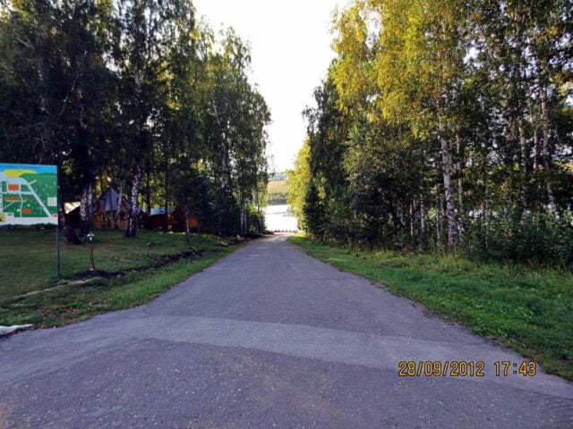 Стрелинка  фото 4