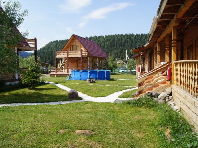Золотая рыбка  фото 4