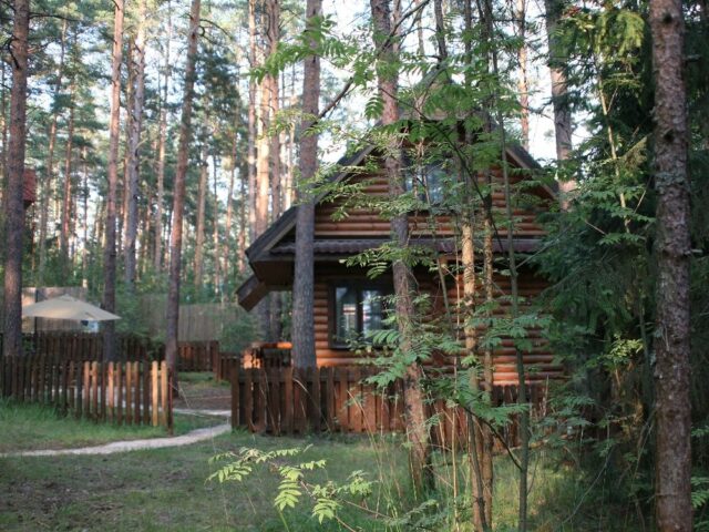 Волжанка фото 2