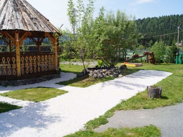 Золотая рыбка  фото 9