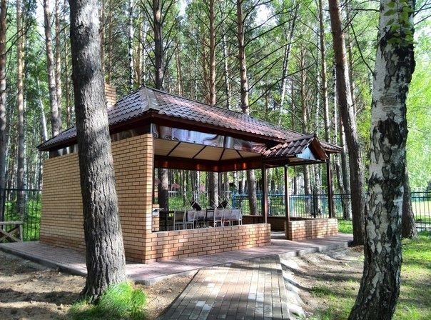 Лесной  фото 7