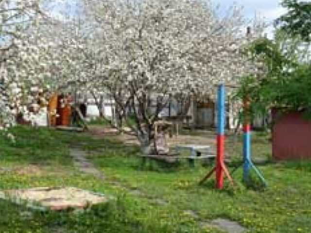 Дача  фото 9