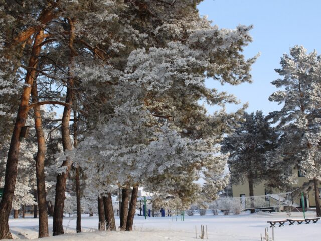 Сосновый Бор  фото 9