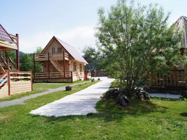 Золотая рыбка  фото 2
